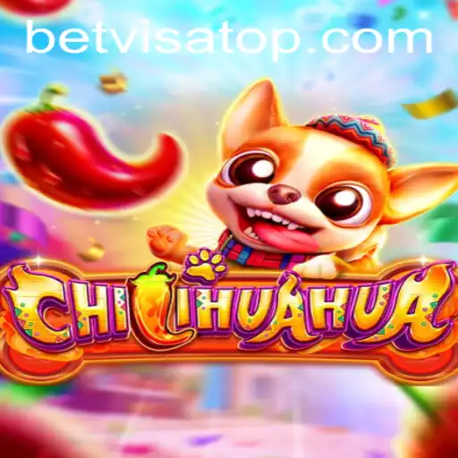 Exploring the Excitement of CHILIHUAHUA with Bet Visa