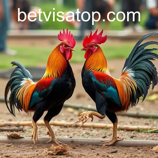 The Intricacies of Sabong Games: A Peck Into Bet Visa